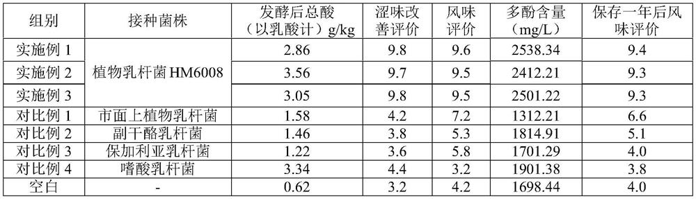 Application of a strain of Lactobacillus plantarum in the preparation of lactic acid bacteria rose flower fermented beverage