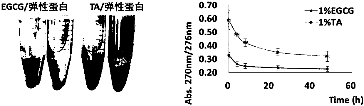 Method for improving structural stability of biological material and biological material