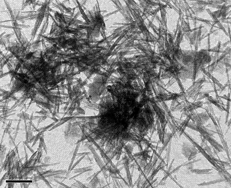 Antibacterial type inorganic whisker functional composite as well as preparation method and application thereof