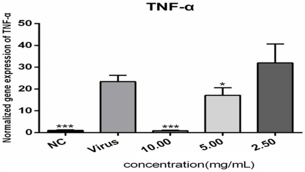 Application of exocarpium citri rubrum expectoration extract in preparation of medicine for inhibiting human coronavirus infection