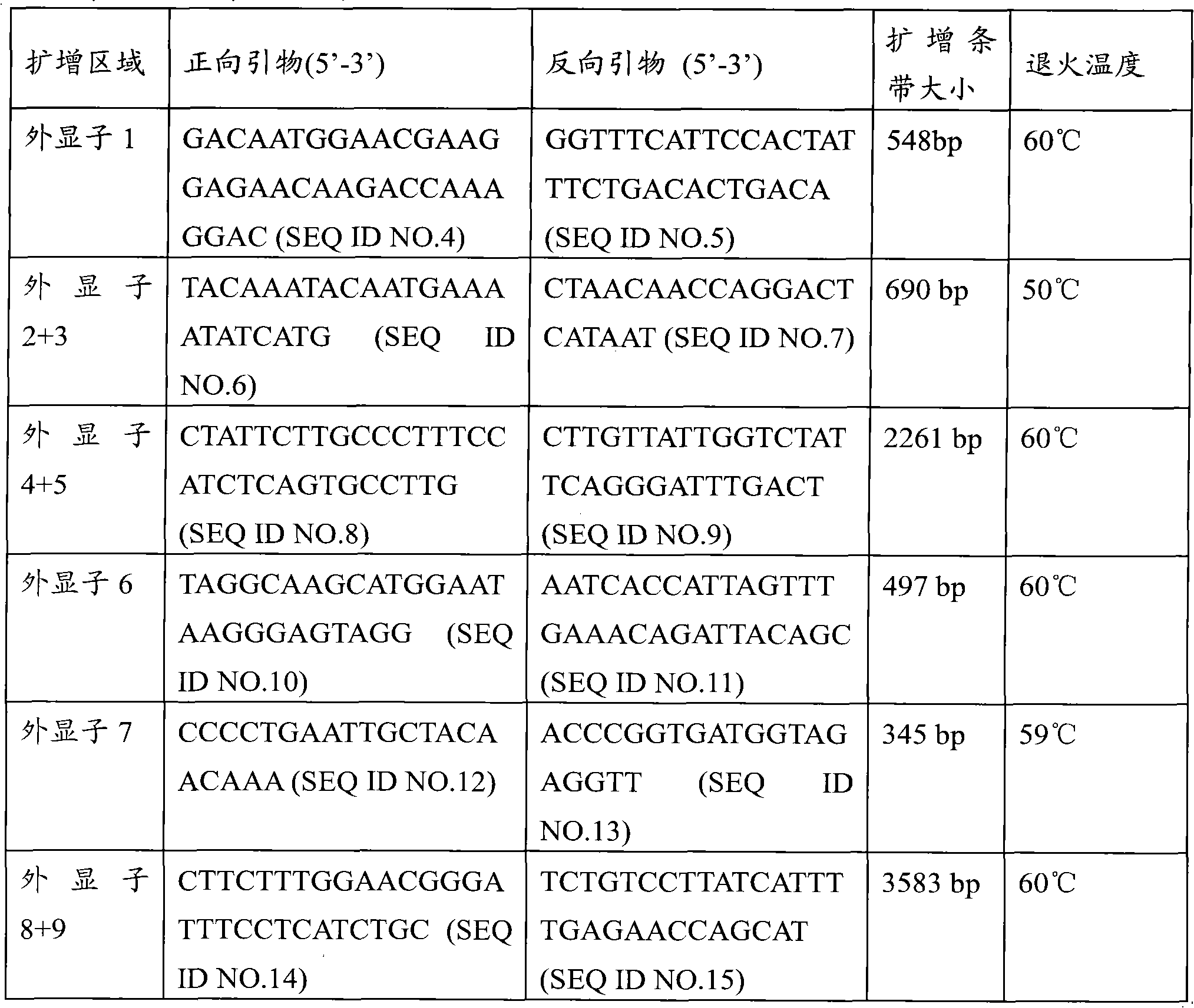 CYP2C9 gene segment comprising 448C&gt;T, coded protein segment and application thereof