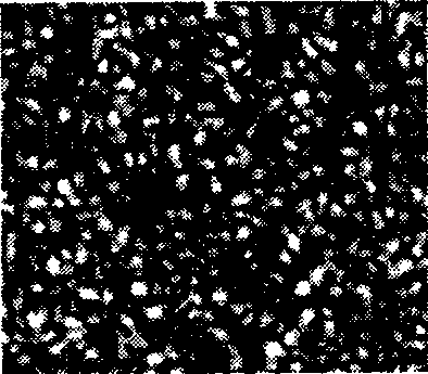 High-light pulse type pseudo-thermal light source