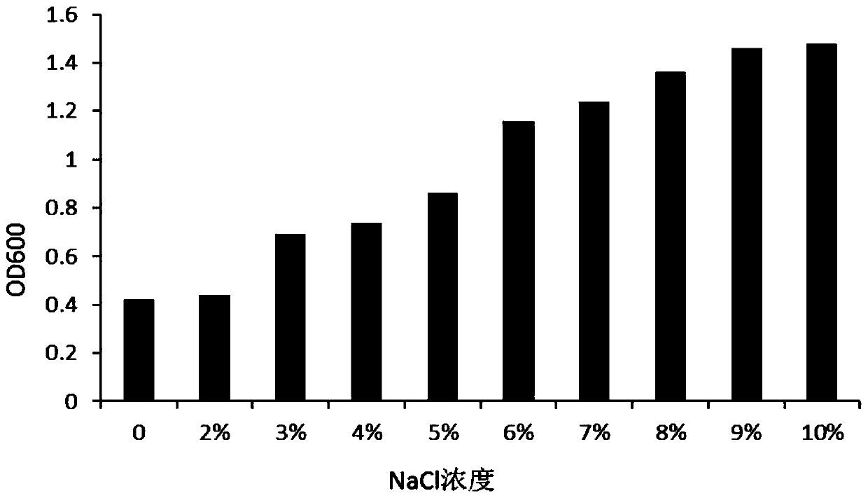 Salt-tolerant bacillus subtilis for producing acetoin and application of salt-tolerant bacillus subtilis