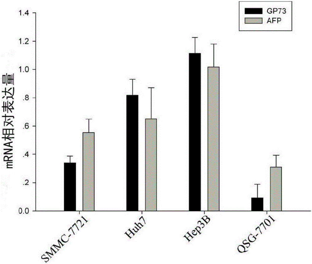 Construction method and application of oncolytic adenovirus targeting liver cancer