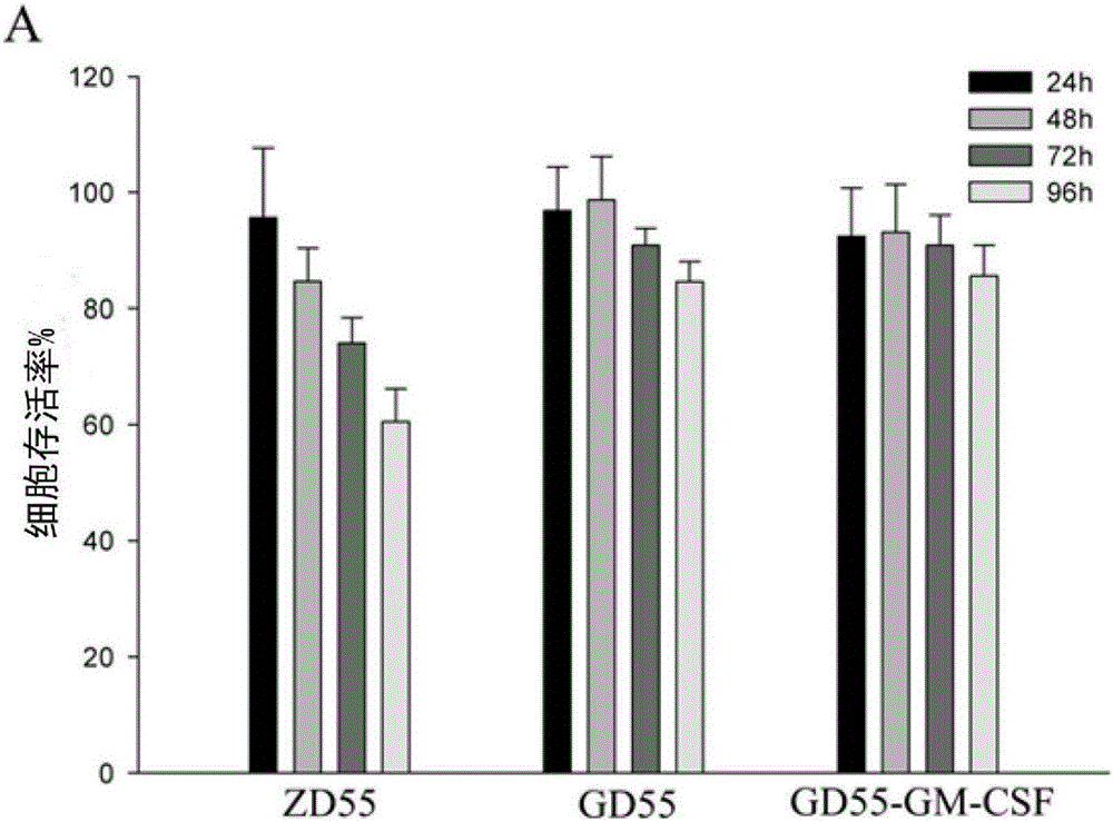 Construction method and application of oncolytic adenovirus targeting liver cancer