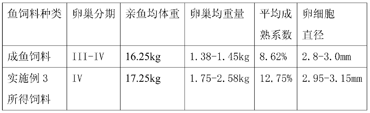 Acipenser dabryanus postpartum parent fish feed