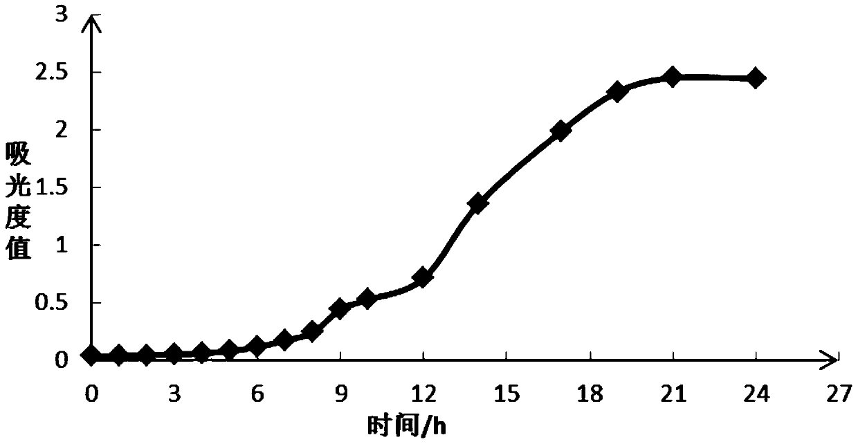 A strain of Lactobacillus paracasei and its application