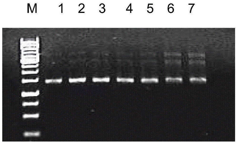 A method for improving the sensitivity of pcr amplification by integrating host factors