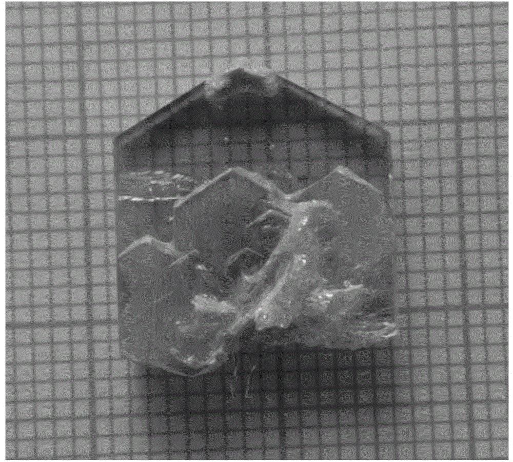 Cesium tungsten-tellurite crystal as well as flux growth method and application thereof