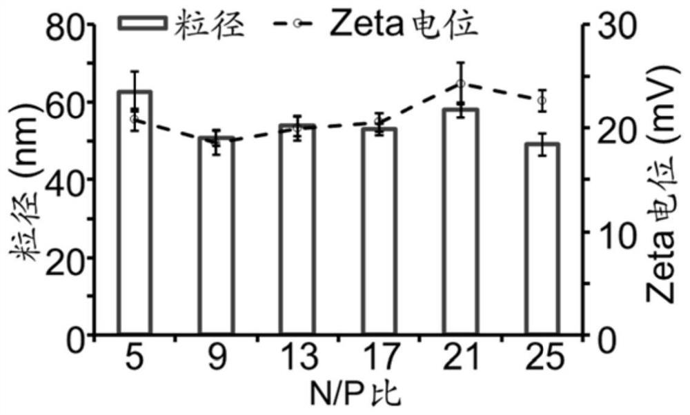 Sorafenib-gene co-loaded nano-drug for cancer treatment as well as preparation method and application thereof