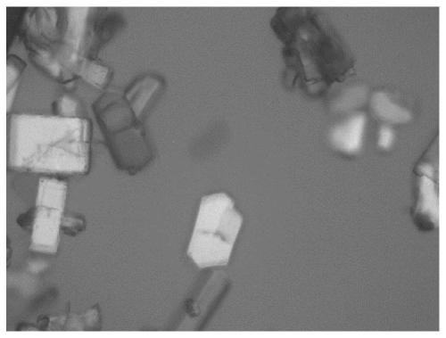 A crystal form of dirithromycin compound and its crystal preparation method