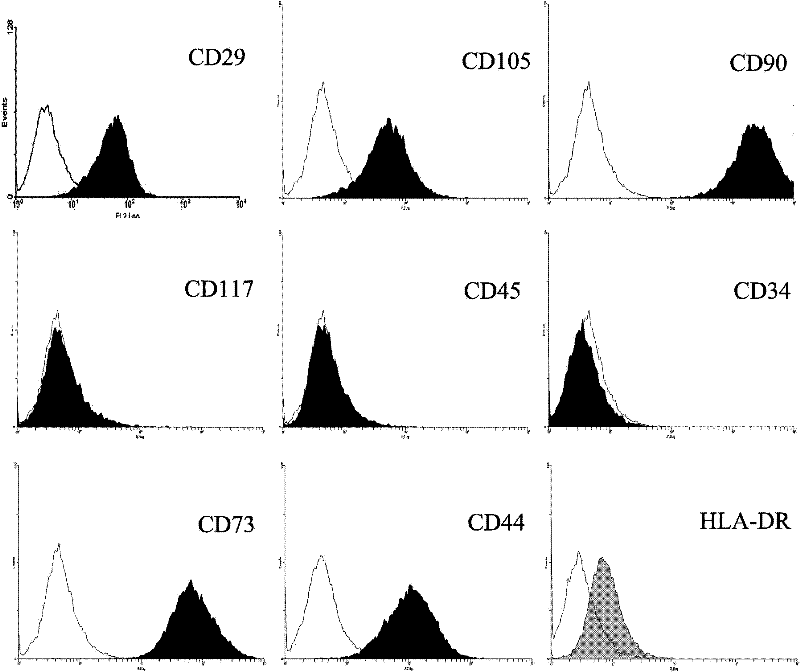 Method for obtaining human endometrial mesenchymal stem cells from curettage samples