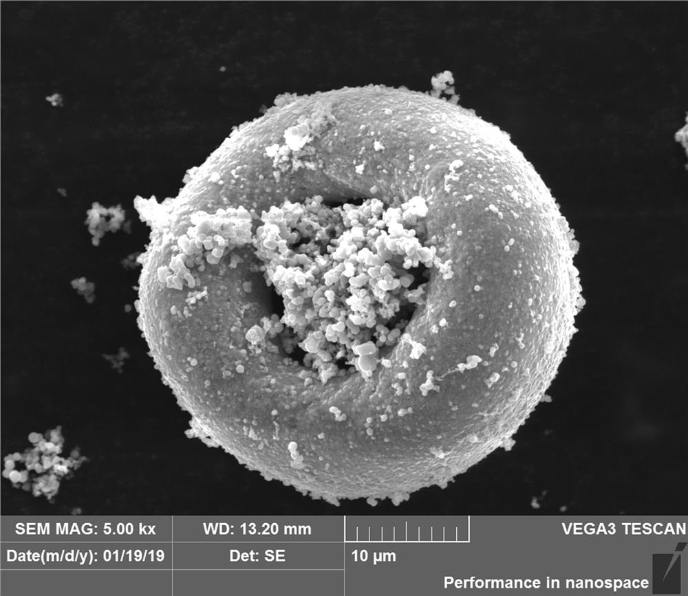 A kind of preparation method of nanometer titanium dioxide/zirconia composite photocatalyst