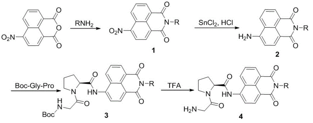 Fluorescent probe substrate for testing activity dipeptidyl peptidase IV and application of fluorescent probe substrate