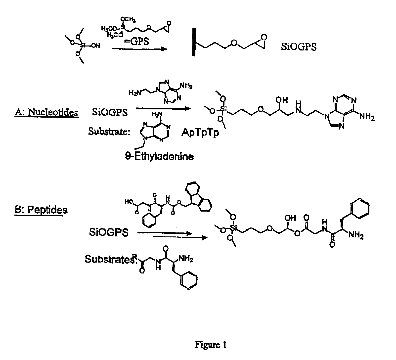 Porous, molecularly imprinted polymer and a process for the preparation thereof