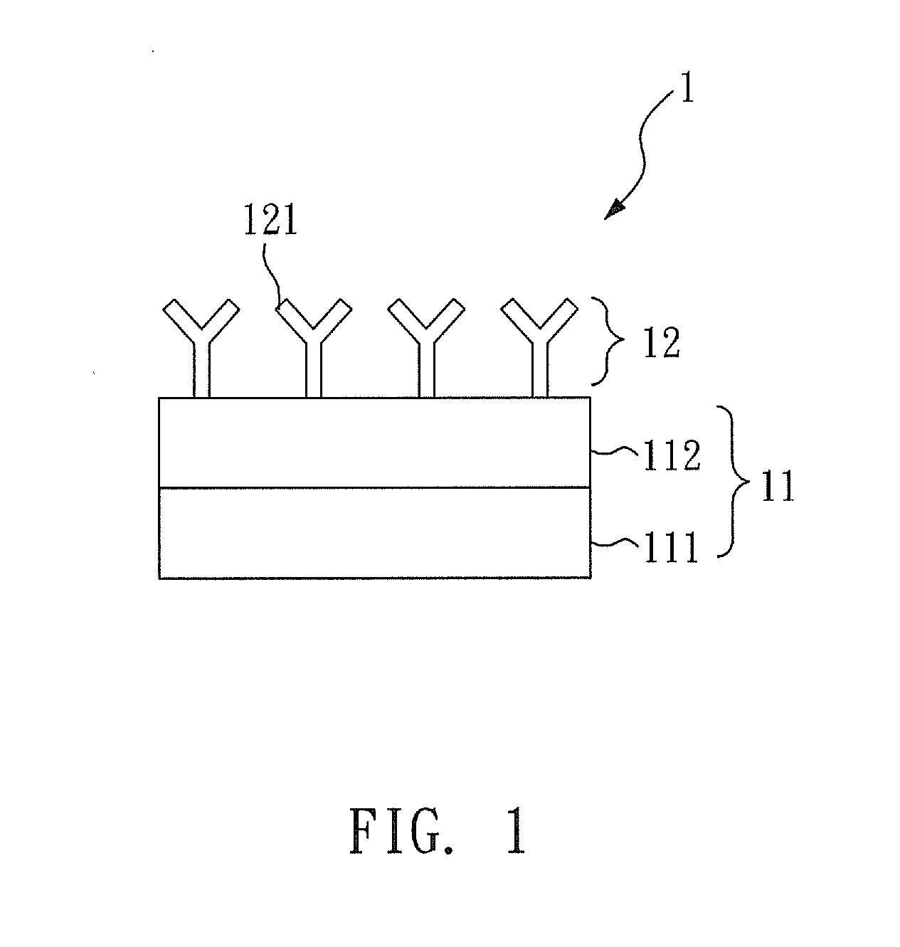 Chip and method for detecting glycosylated hemoglobin