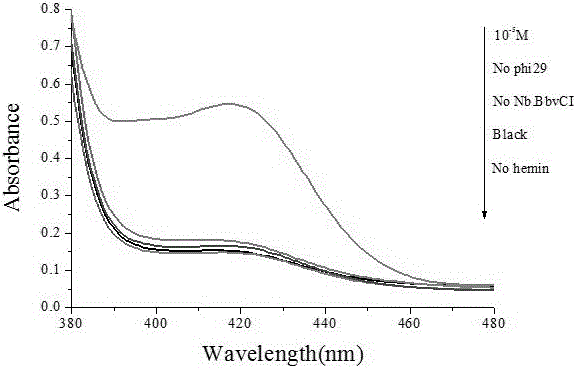 Colorimetric sensor for detecting mercury ions and preparation method thereof