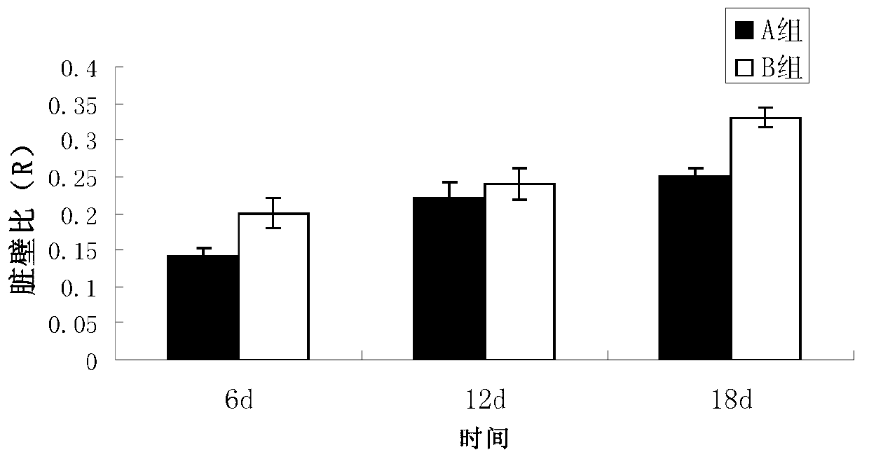 Chinese herbal medicine compound bait for improving growing power, immunity and disease resistance of stichopus japonicus