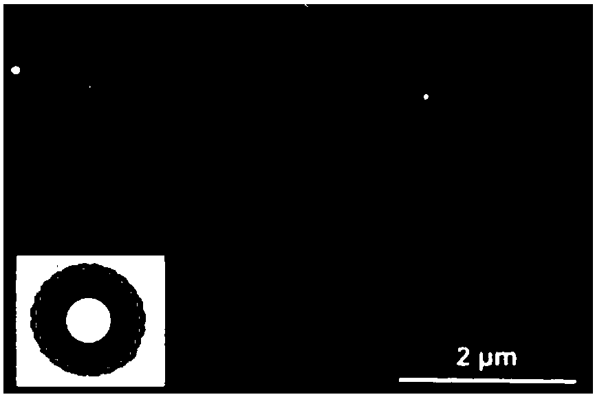 Chitosan nano drug carrier with pH and temperature response and preparation method and application thereof