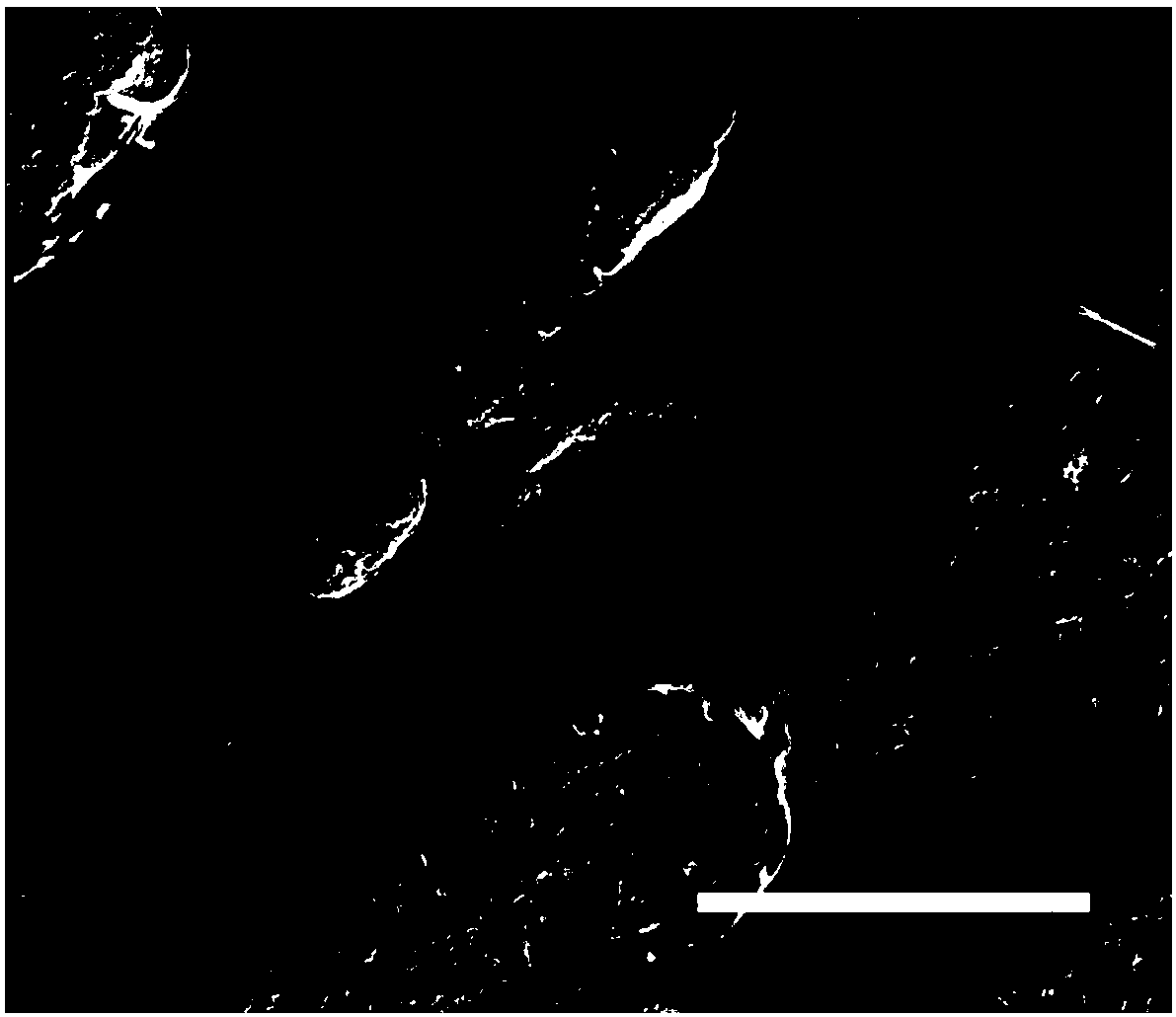 Polyphenol coating for capturing circulating tumor cells