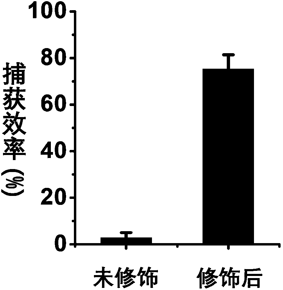 Polyphenol coating for capturing circulating tumor cells