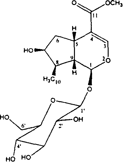 Cornel extract and use thereof