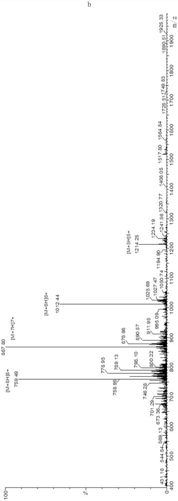 gnrh antigen and its application in the castration effect and meat quality of bulls by active immunization