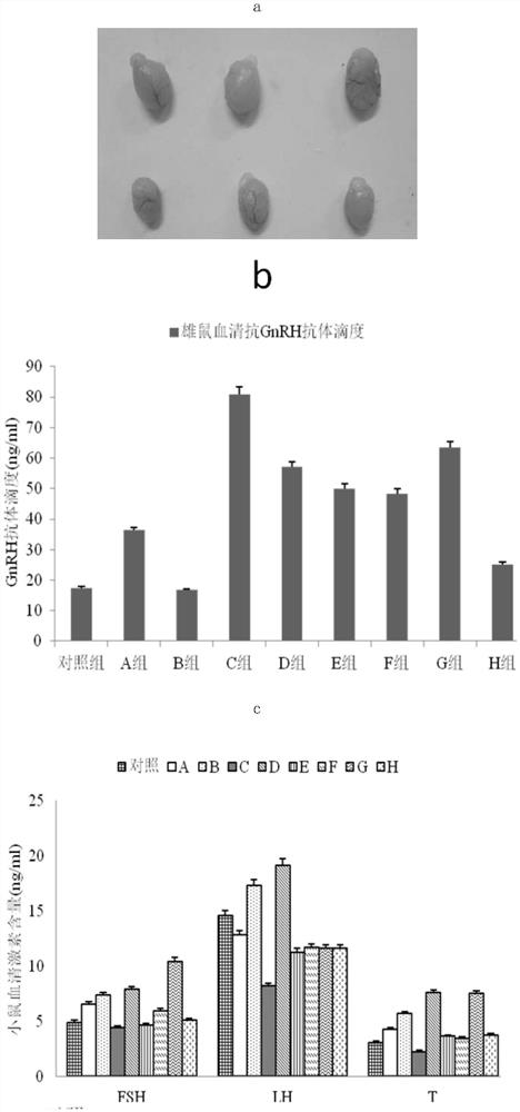 gnrh antigen and its application in the castration effect and meat quality of bulls by active immunization