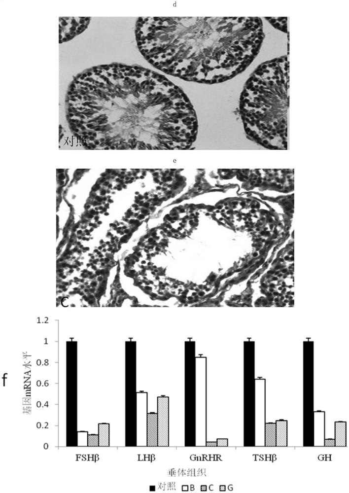 gnrh antigen and its application in the castration effect and meat quality of bulls by active immunization