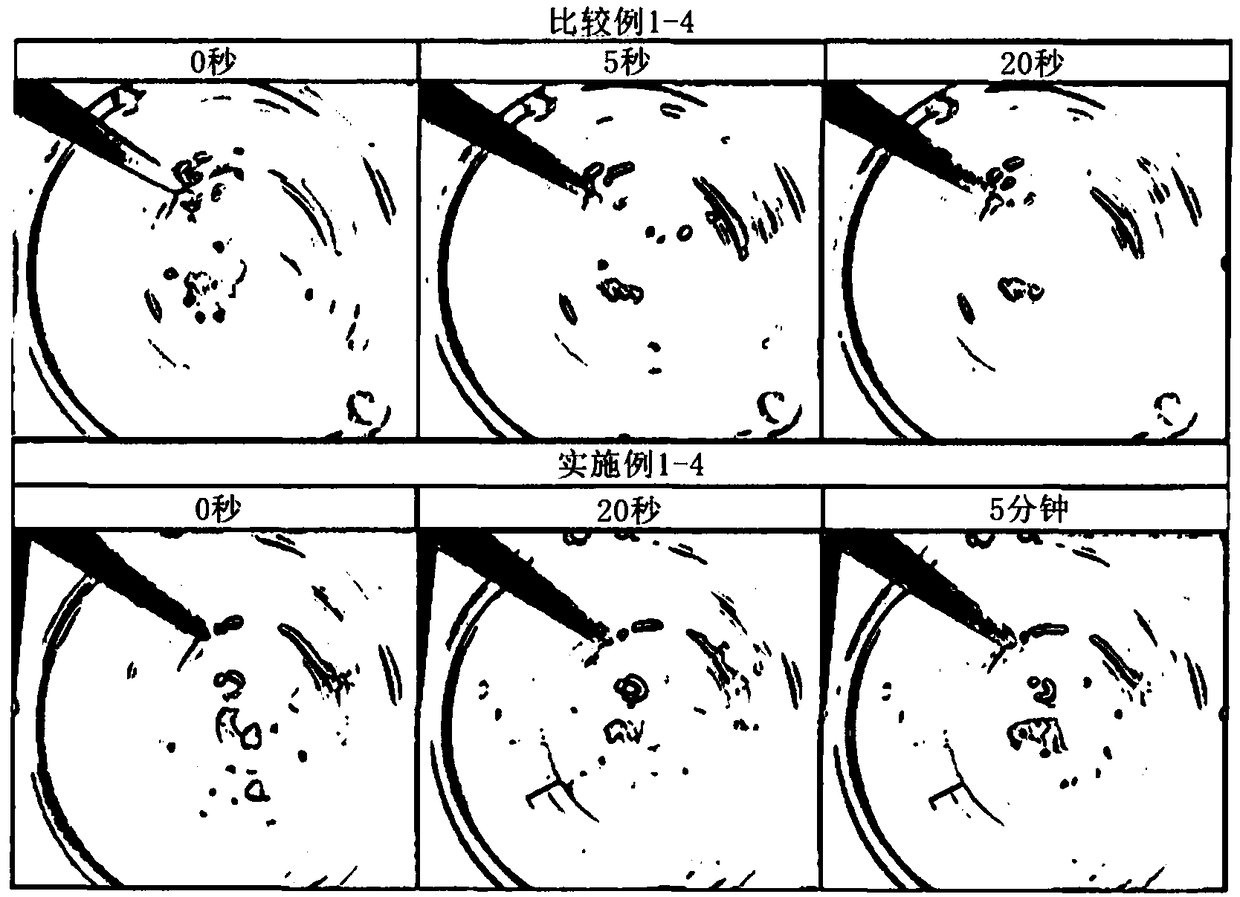 Temperature sensitive hydrogel composition including nucleic acid and chitosan