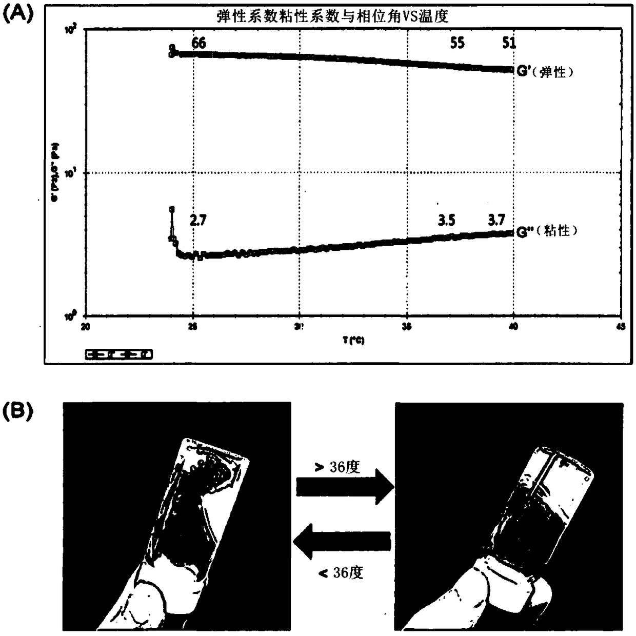 Temperature sensitive hydrogel composition including nucleic acid and chitosan