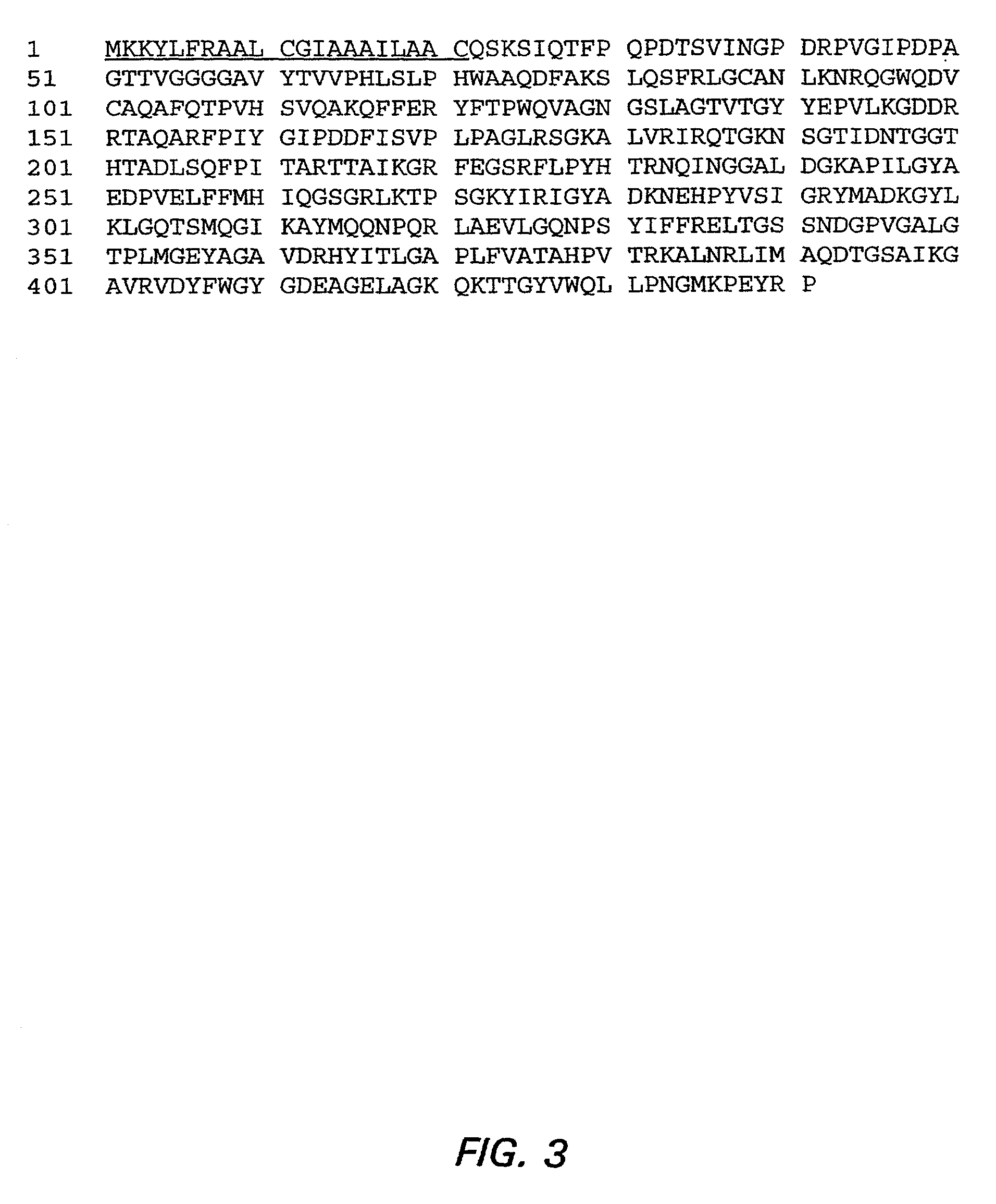 Molecular mimetics of meningococcal B epitopes which elicit functionally active antibodies