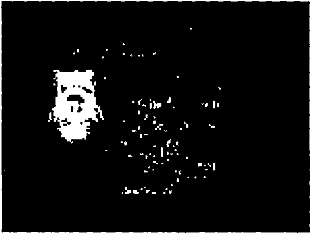 Method for detecting and adjusting inversion of certificate image