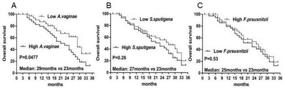 Kit for diagnosing malnutrition condition through flora detection of colon cancer tumor patient