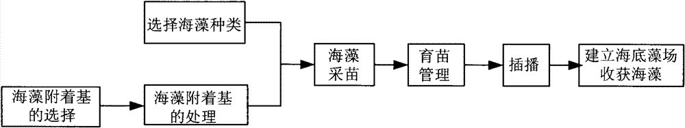 Method for constructing manually controlled submarine algae field