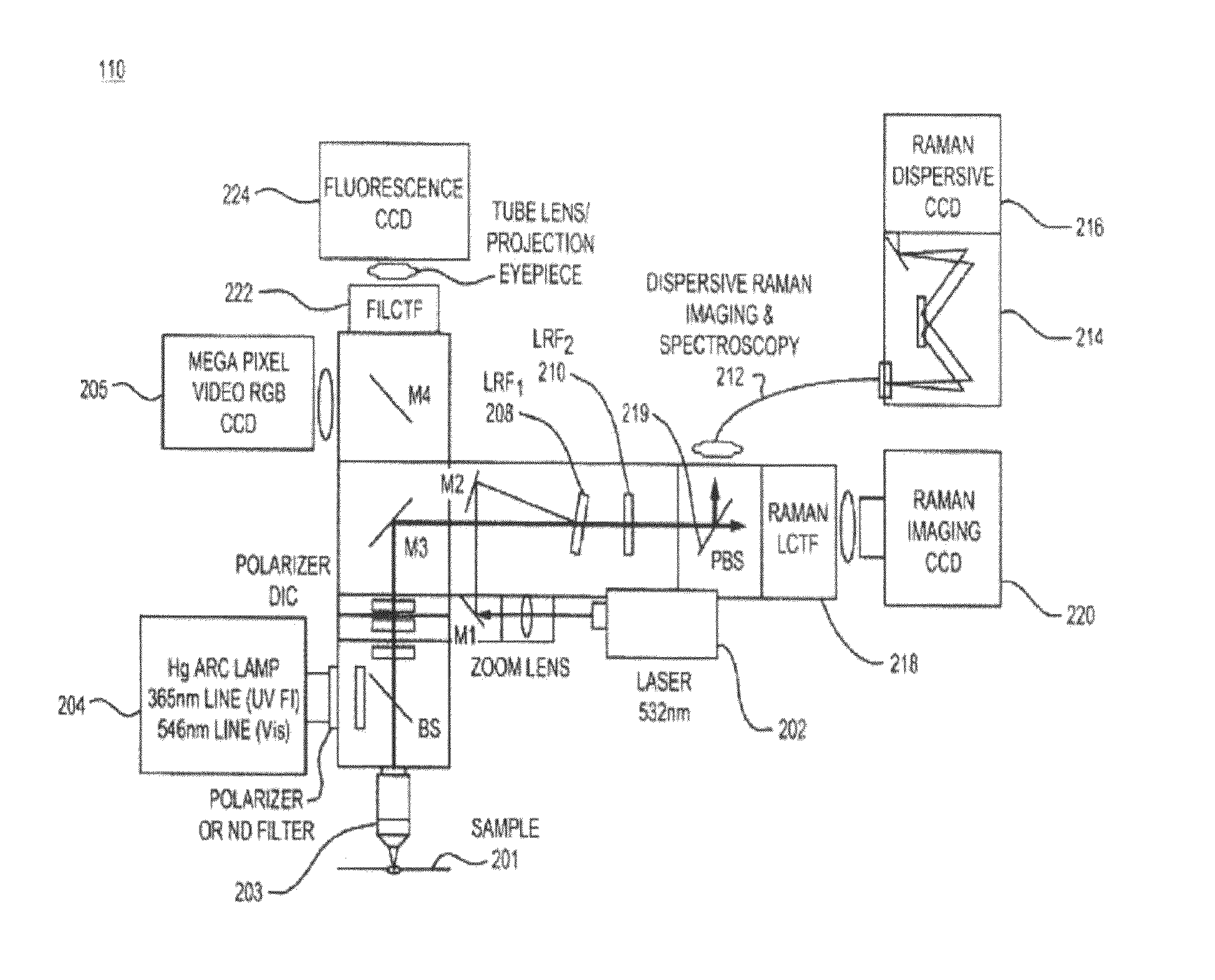 System and method for raman chemical analysis of lung cancer with digital staining