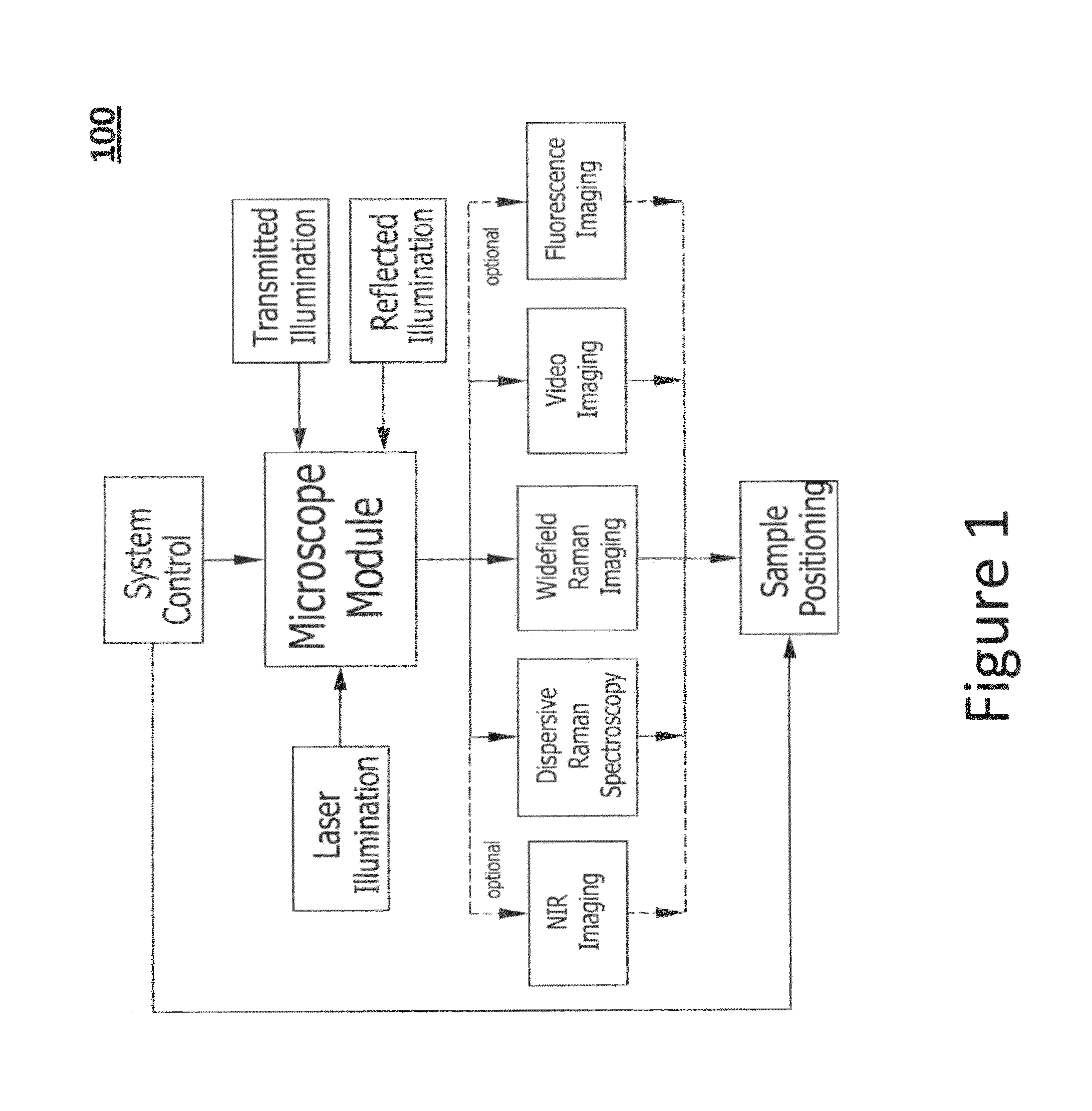 System and method for raman chemical analysis of lung cancer with digital staining