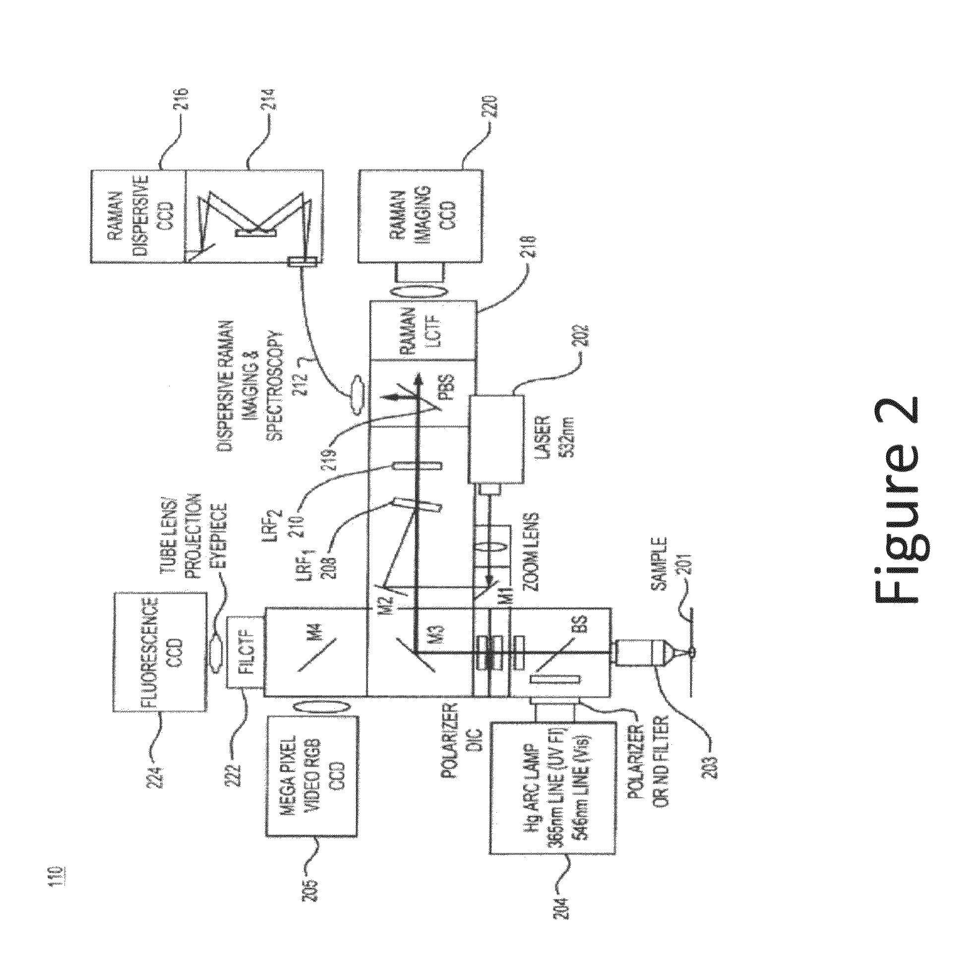 System and method for raman chemical analysis of lung cancer with digital staining