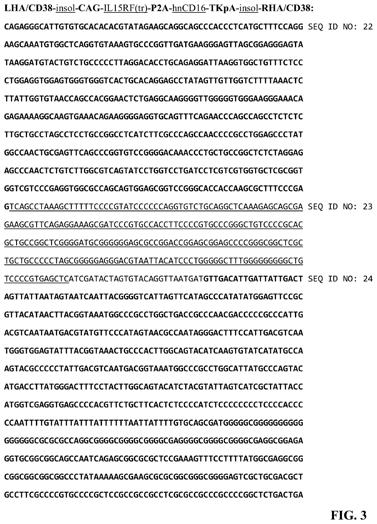 Immune effector cell engineering and use thereof