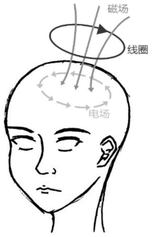 Triangular network personalized multi-coil transcranial magnetic stimulation array and its control method