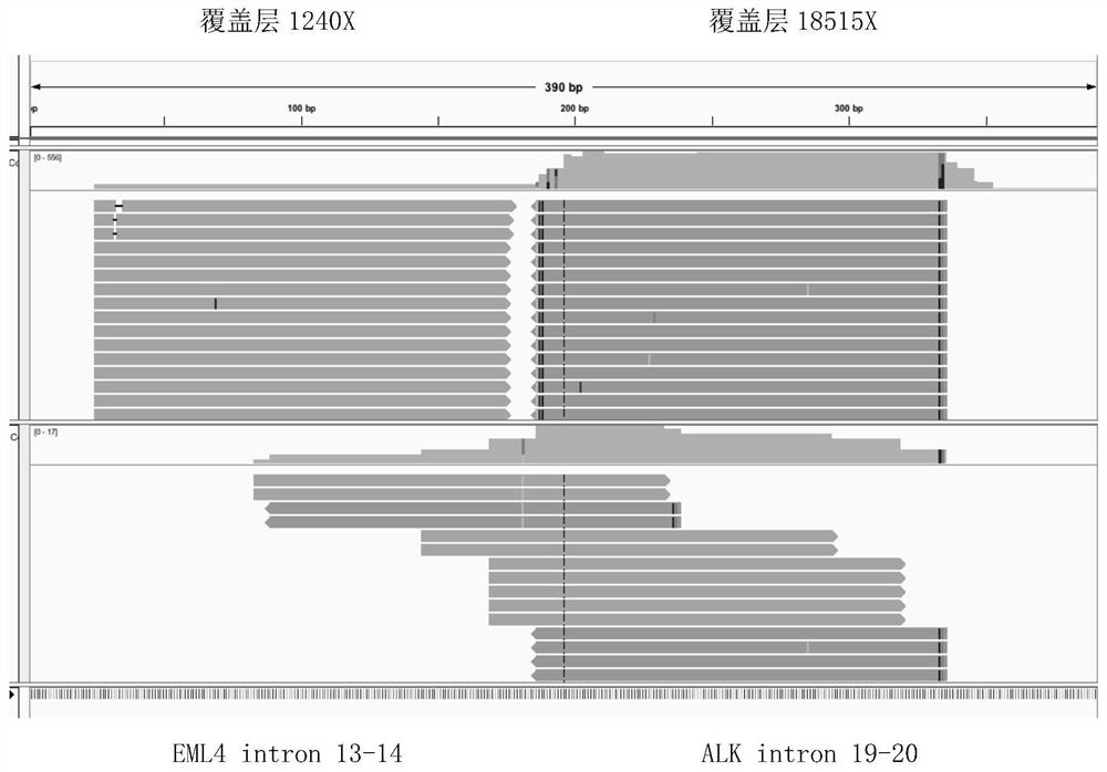 DNA-based fusion gene quantitative sequencing library construction, detection method and its application