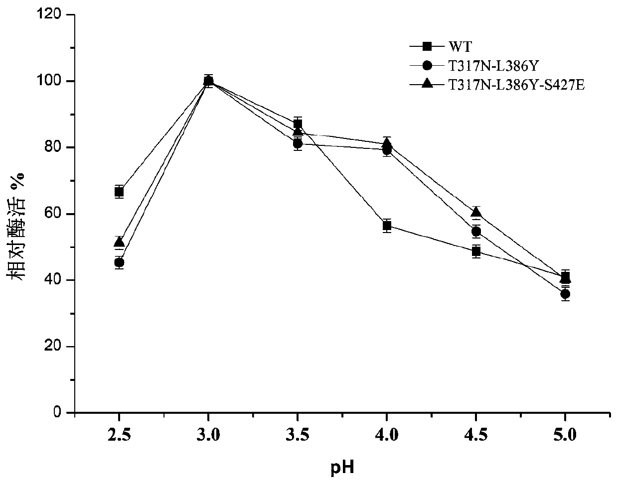 Multicopper oxidase mutant with improved salt tolerance