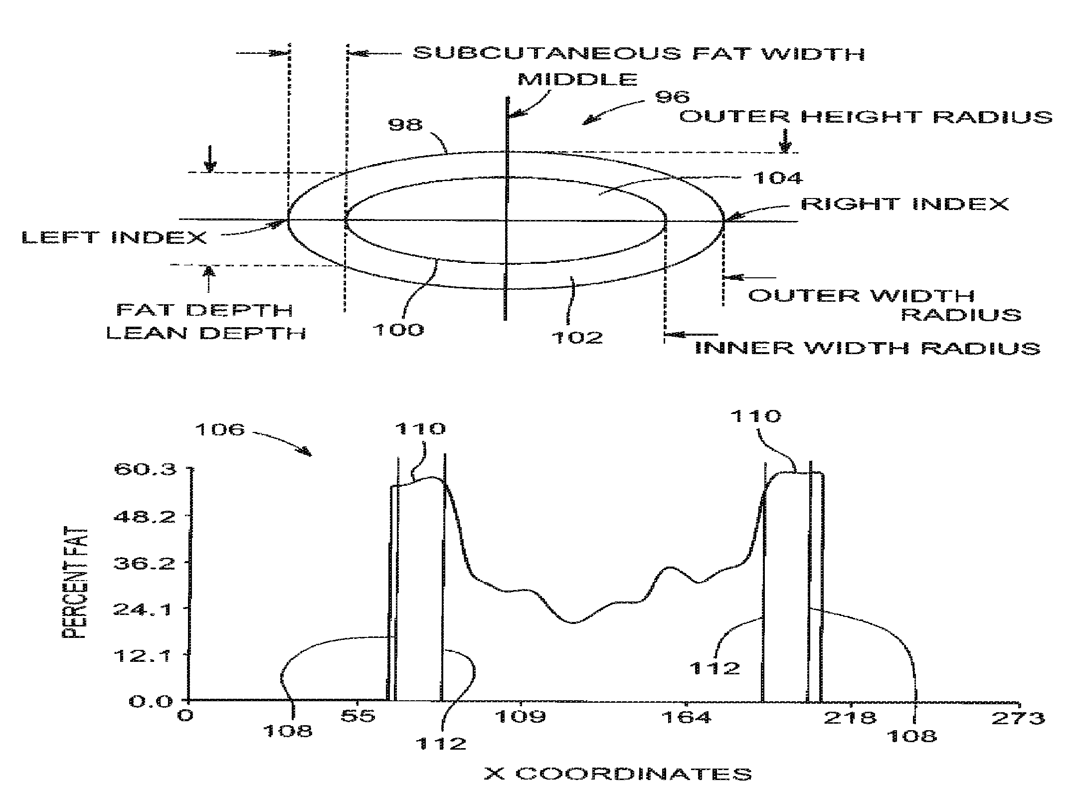 Normalized metrics for visceral adipose tissue mass and volume estimation