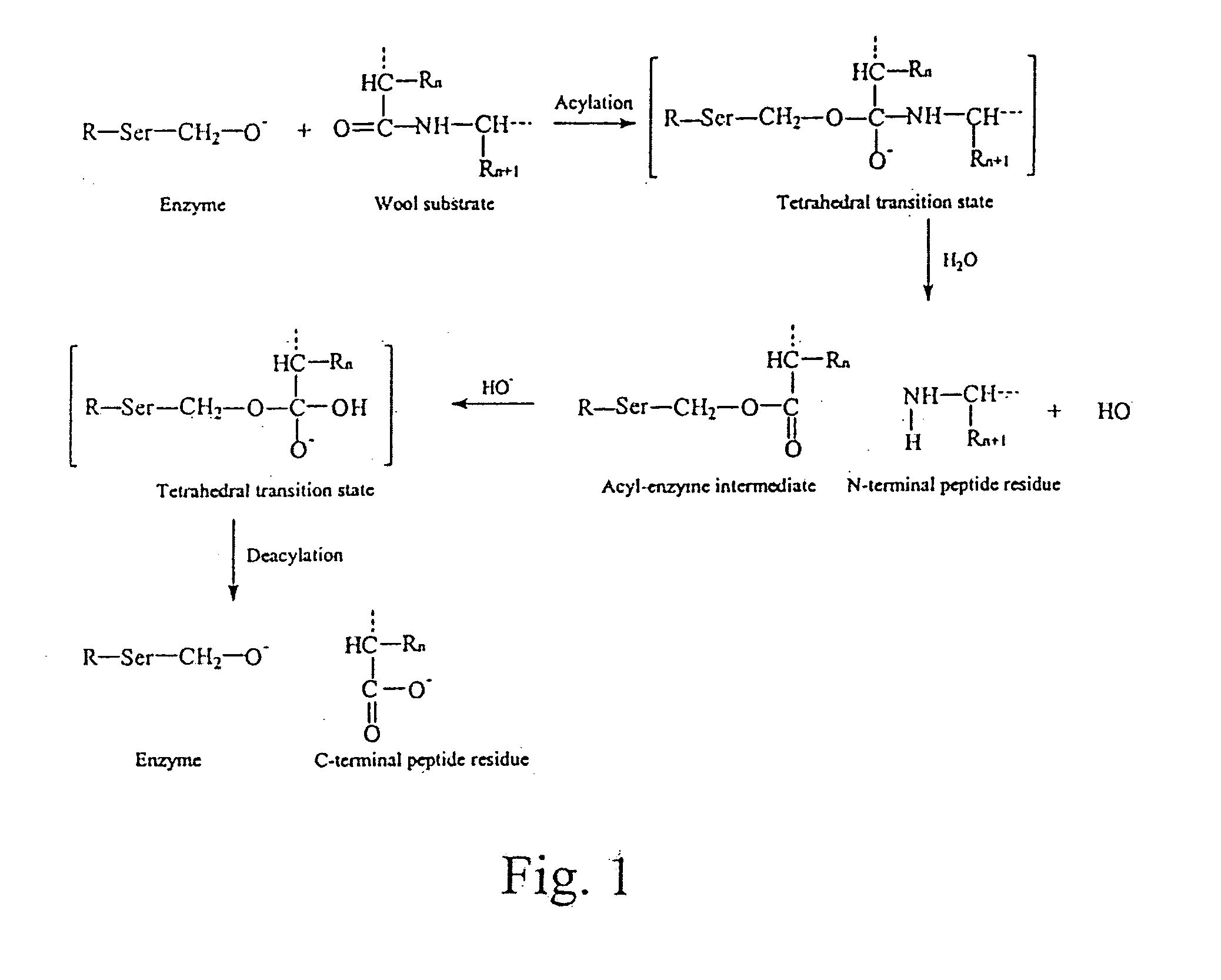 Methods of improving shrink-resistance of natural fibers, synthetic fibers, or mixtures thereof, or fabric or yarn composed of natural fibers, synthetic fibers, or mixtures thereof