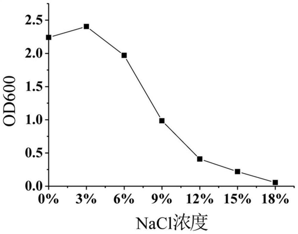 Phosphate solubilizing bacterium 3-1 and application thereof in phosphate dissolving