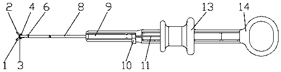 Rotatable biopsy forceps device avoiding tearing