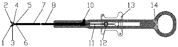 Rotatable biopsy forceps device avoiding tearing