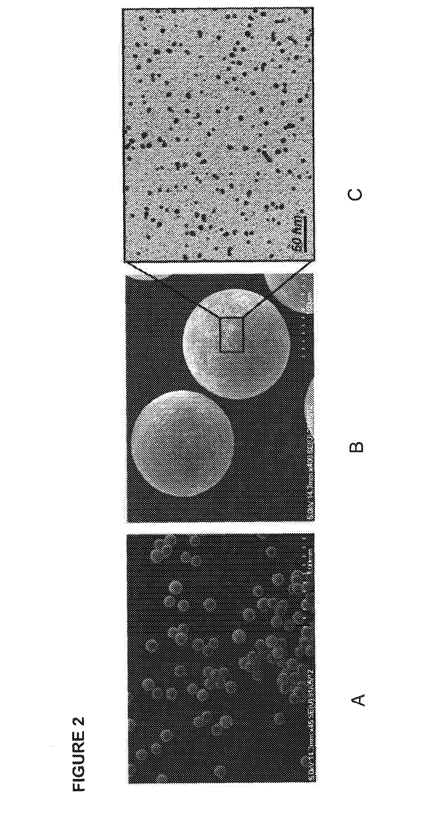 Bioorthogonal methods and compounds