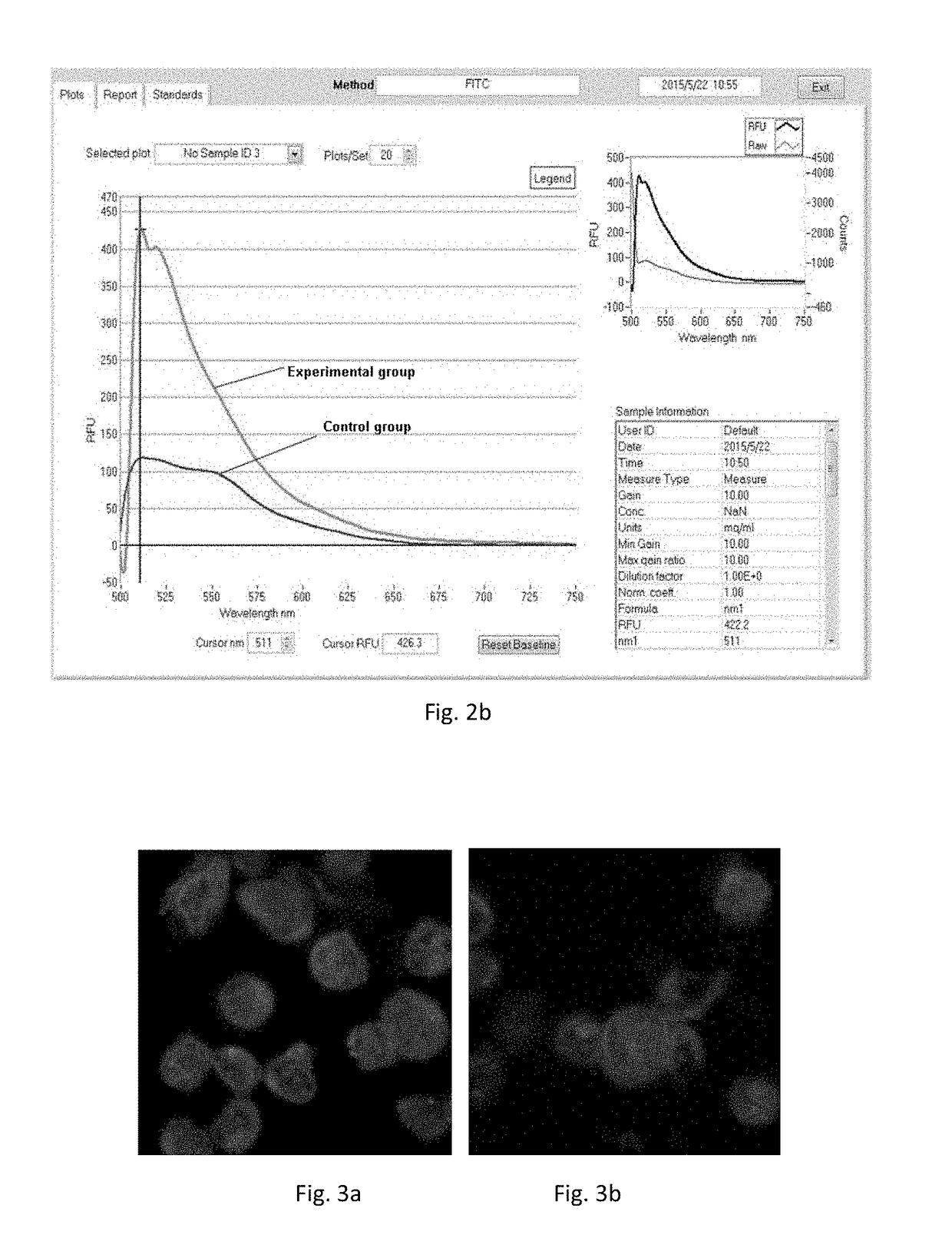 Polypeptide specifically binding to cd34 molecule and use thereof