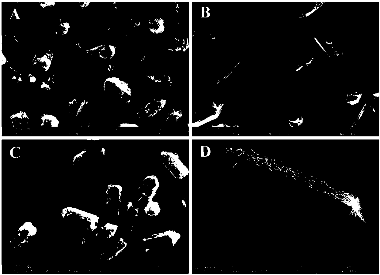 Co(vo3)2-mn(vo3)2 with different shapes and its preparation method and application